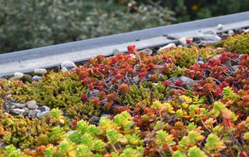 the cost of Black Horse Drove green roof installation